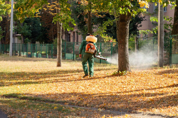 Best Affordable Pest Control Services  in Washington, MO